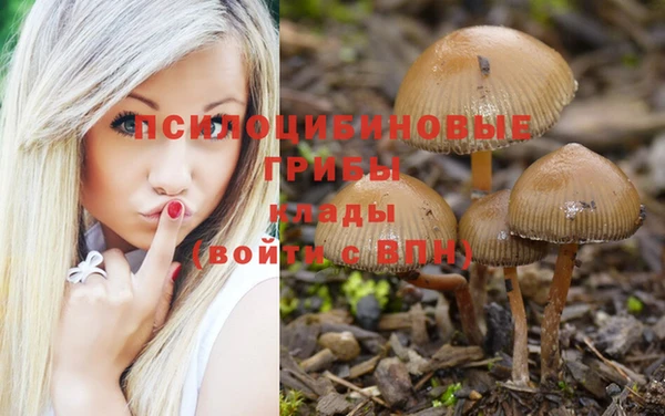 кокаин VHQ Алексин