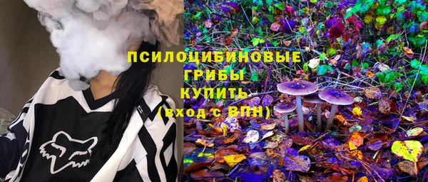 spice Алзамай