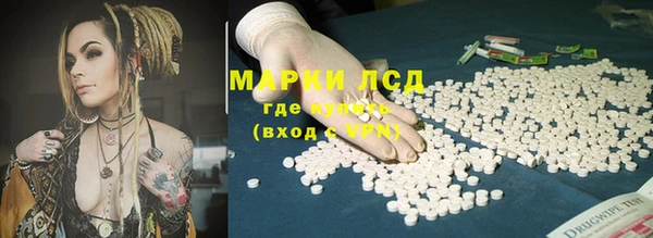 spice Алзамай